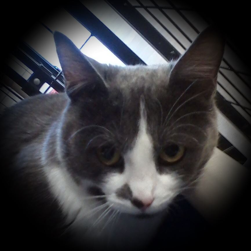 127-16 JUNEAU CLOSEUP